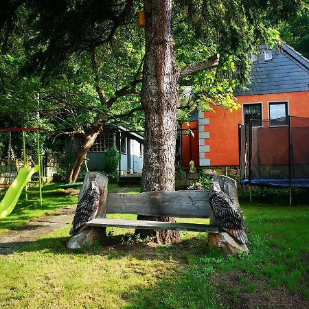 Ferienhaus Franz - An Der Elbe, Mit Grossem Garten Pirna Luaran gambar