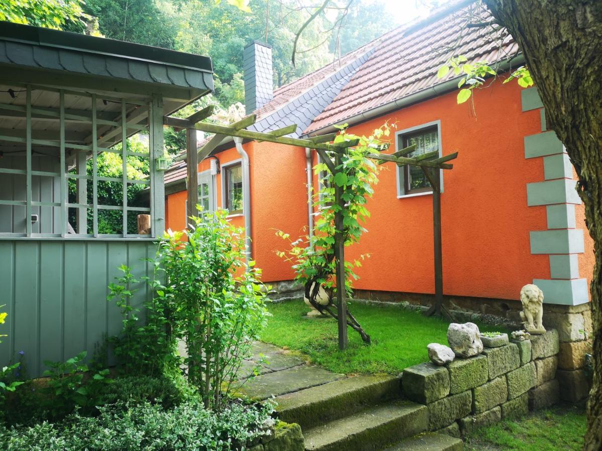 Ferienhaus Franz - An Der Elbe, Mit Grossem Garten Pirna Luaran gambar