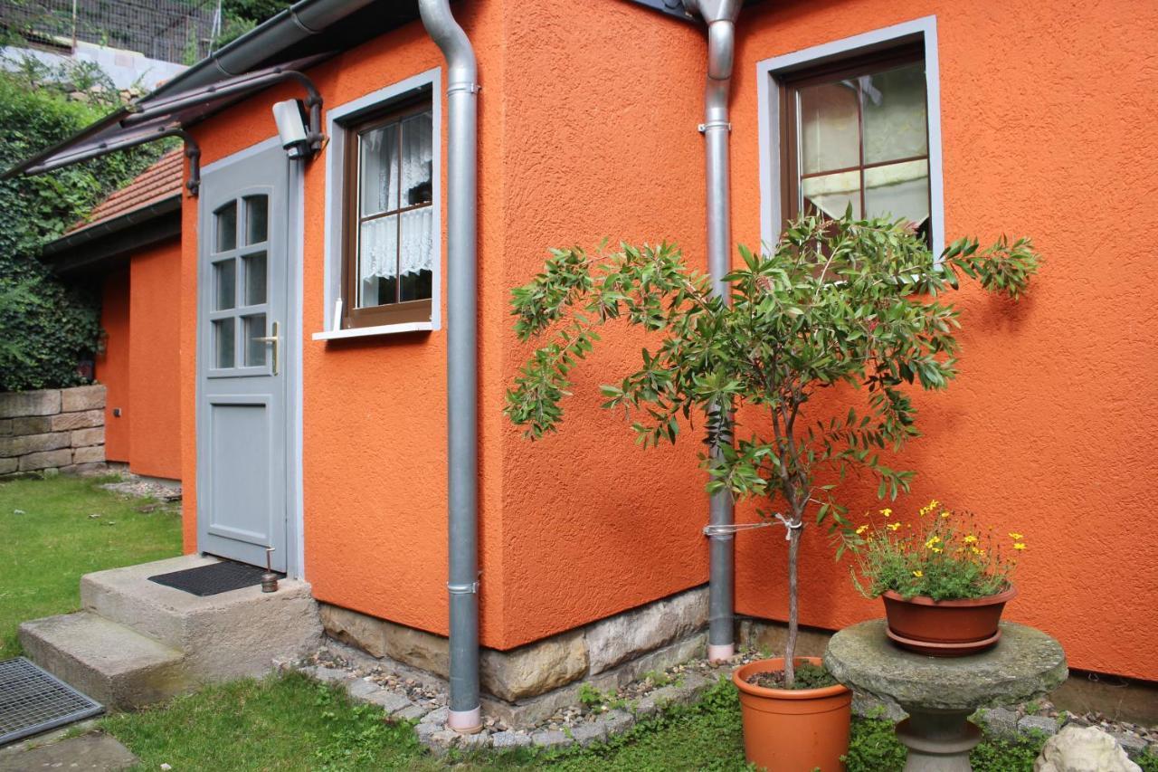 Ferienhaus Franz - An Der Elbe, Mit Grossem Garten Pirna Luaran gambar